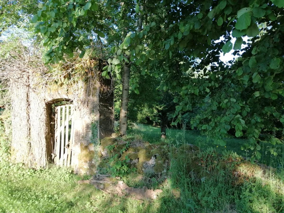 Le Miraillet, Gite Saint-Illide ภายนอก รูปภาพ