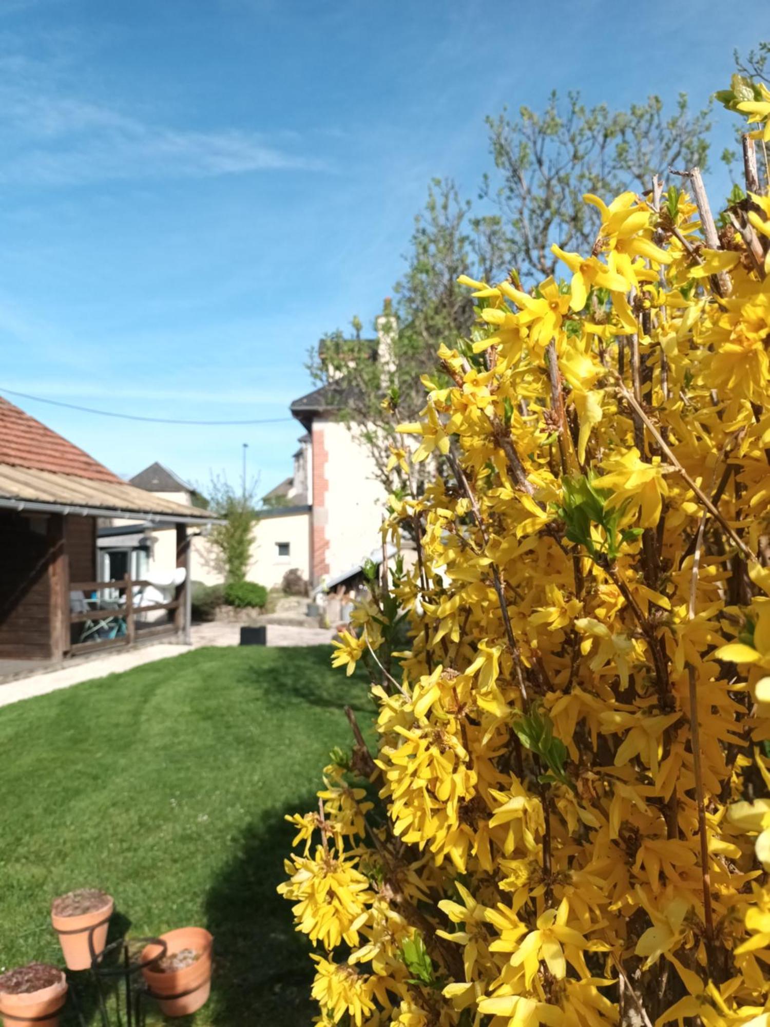 Le Miraillet, Gite Saint-Illide ภายนอก รูปภาพ