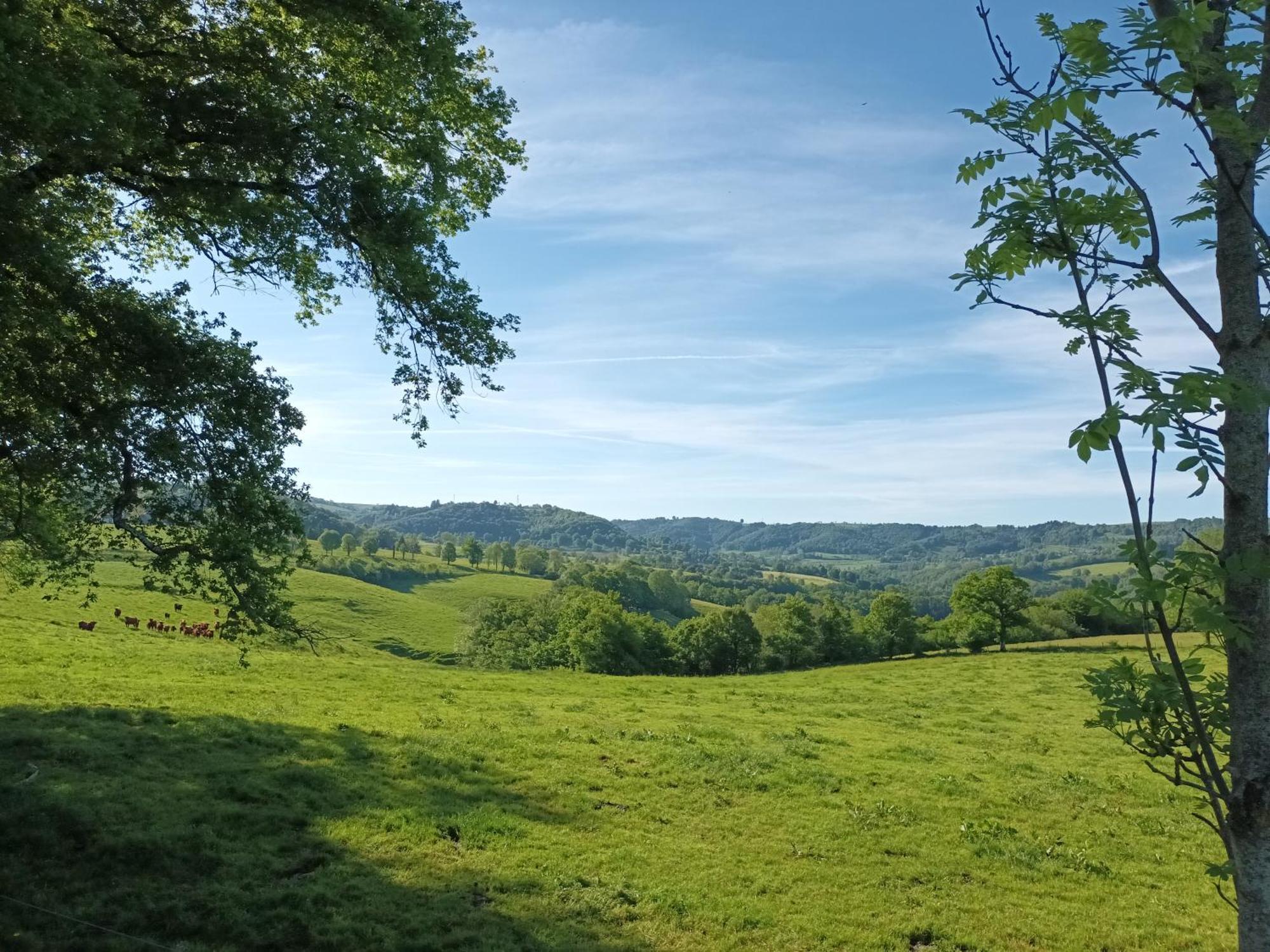 Le Miraillet, Gite Saint-Illide ภายนอก รูปภาพ